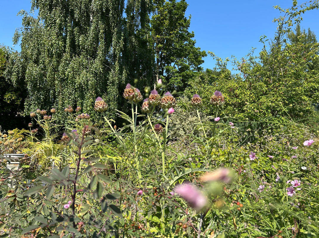 East Lambrook Manor Gardens-South Petherton必去景点