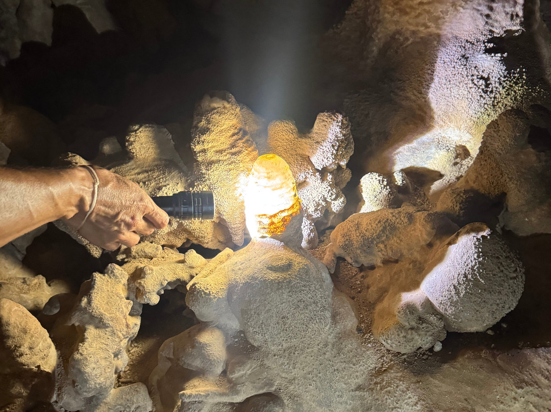 Go Caving Bonaire-Kralendijk必去景点