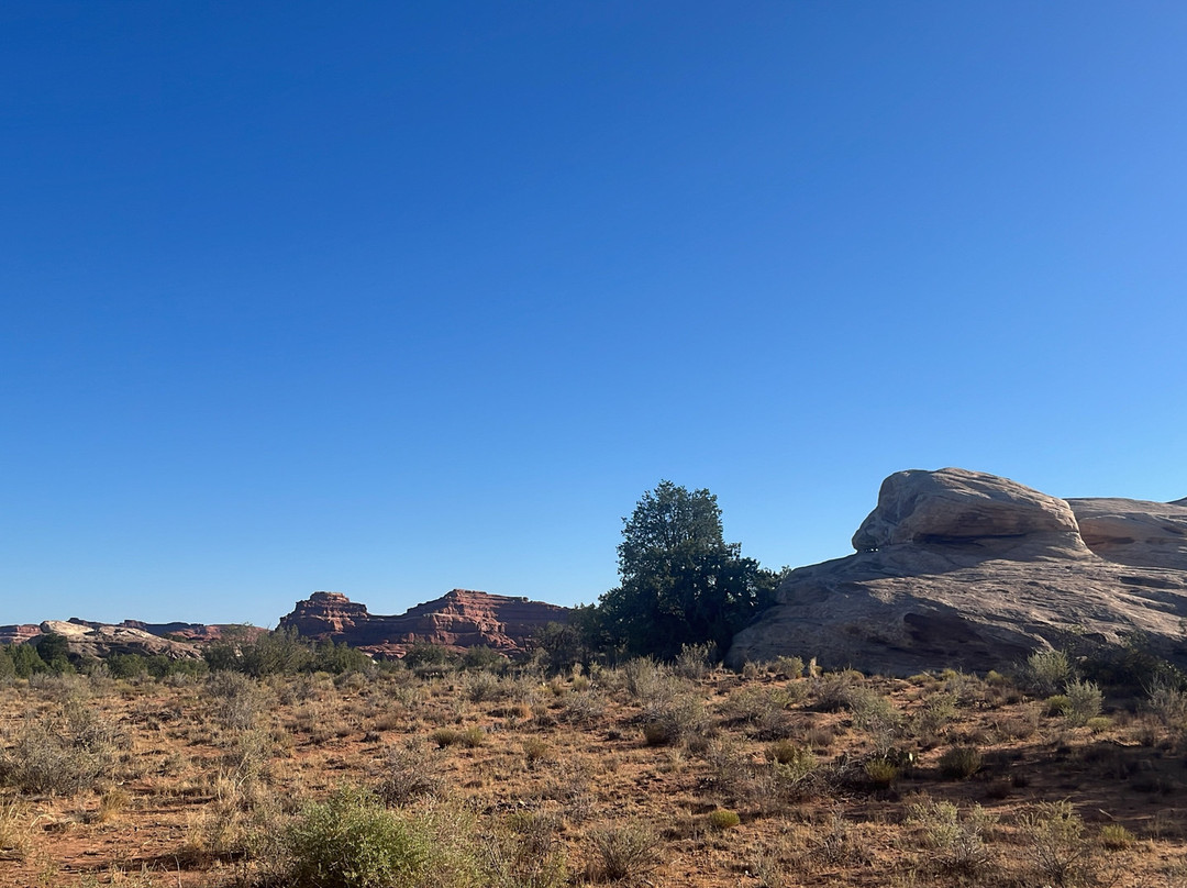 Chesler Park Loop Trail-Monticello必去景点