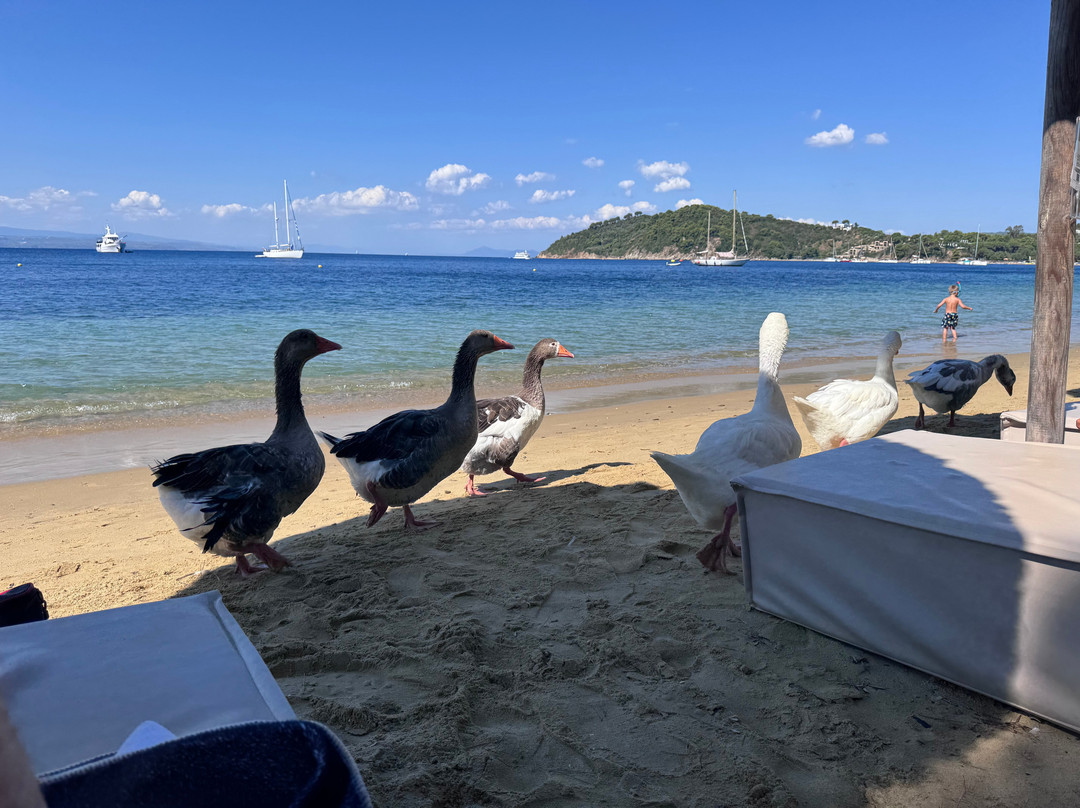 Maratha Beach-Maratha必去景点