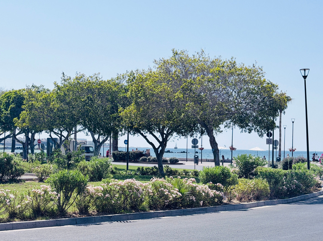 Paphos Harbour and Port-帕福斯必去景点