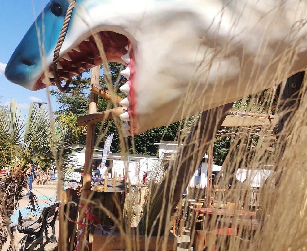 Parc Plage de Montrichard-Montrichard必去景点