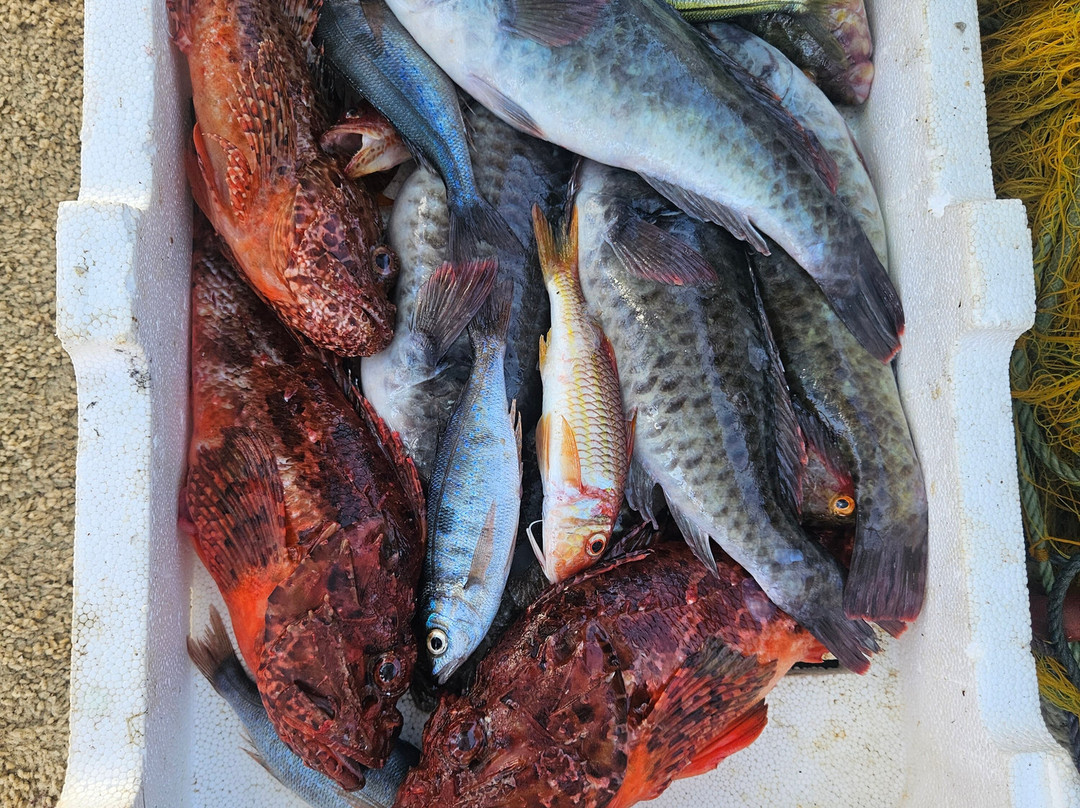 Lemnos Fishing Trips-Myrina必去景点