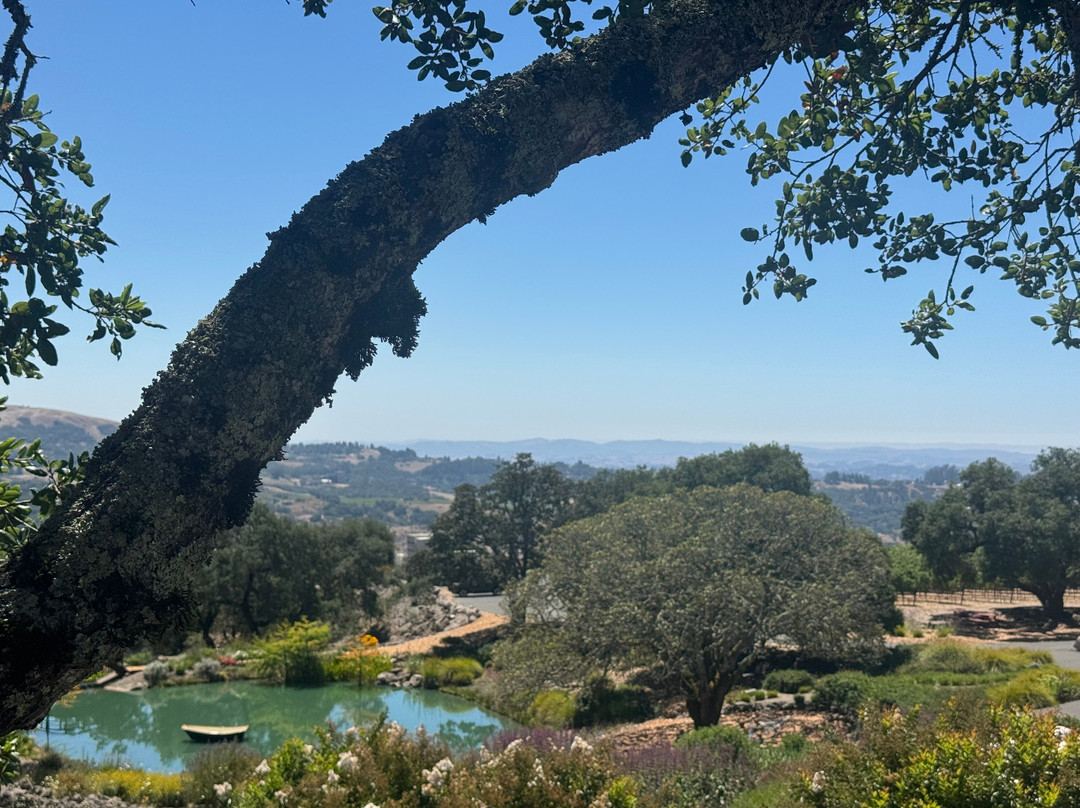 Coursey Graves Estate Winery-圣罗莎必去景点