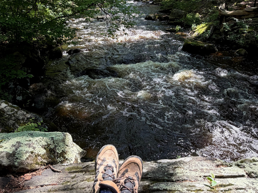 Hacklebarney State Park-Long Valley必去景点