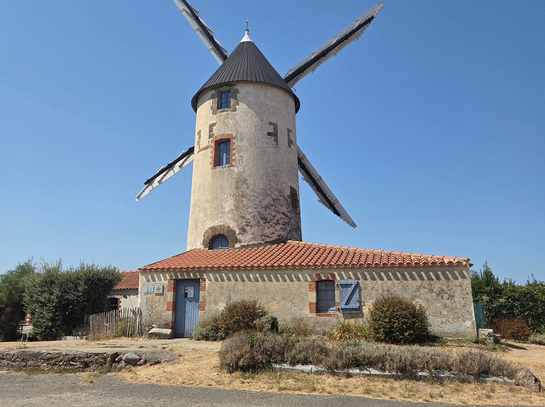 Le Moulin à Vent de Rairé-Sallertaine必去景点