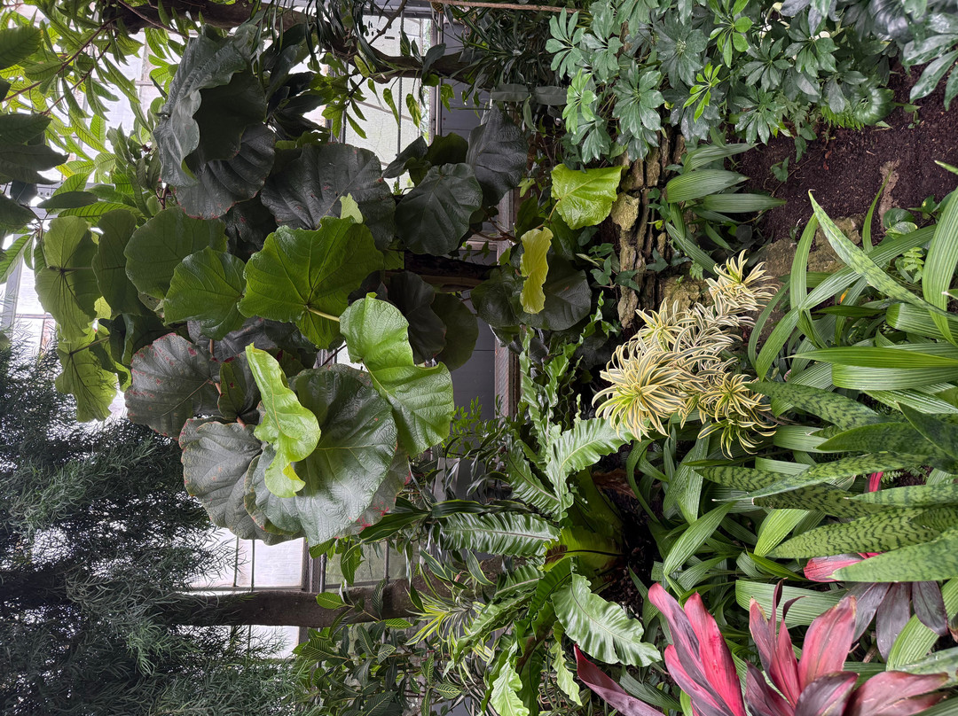 Krohn Conservatory-辛辛那提必去景点