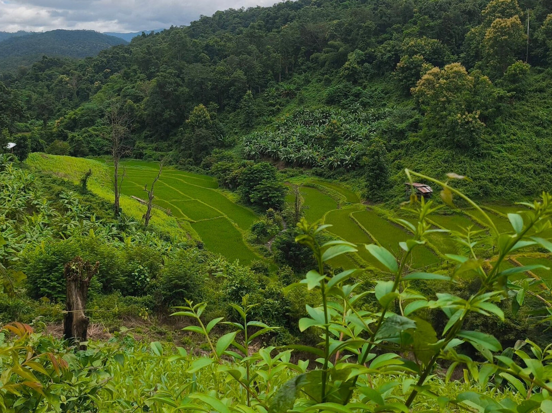 Mike's Authentic Trekking-清迈必去景点