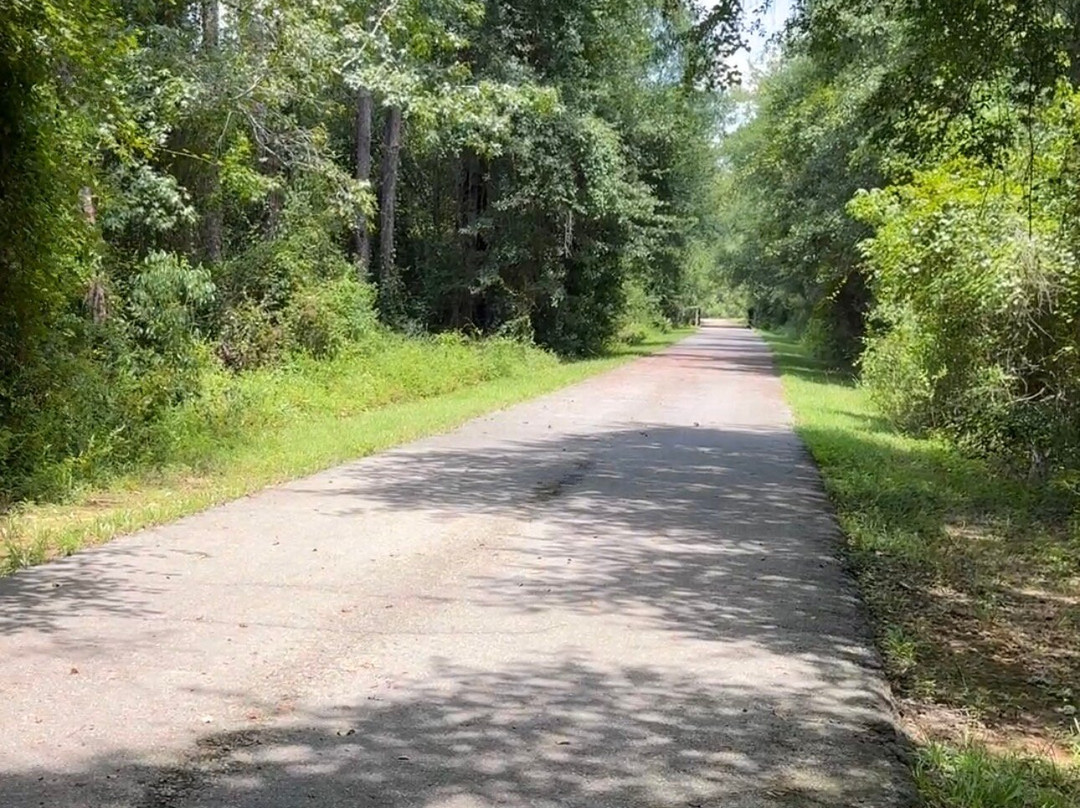 Blackwater Heritage State Trail-Milton必去景点