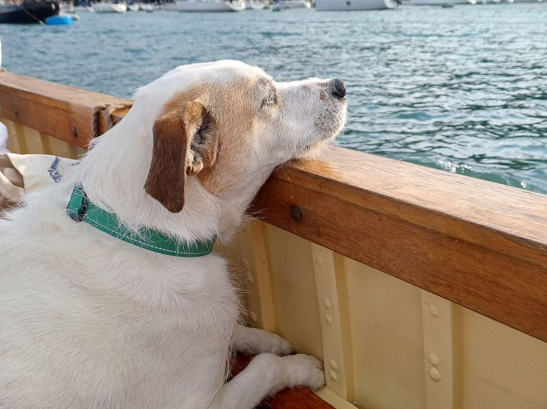 Dartmouth Castle Ferry-达特茅斯必去景点