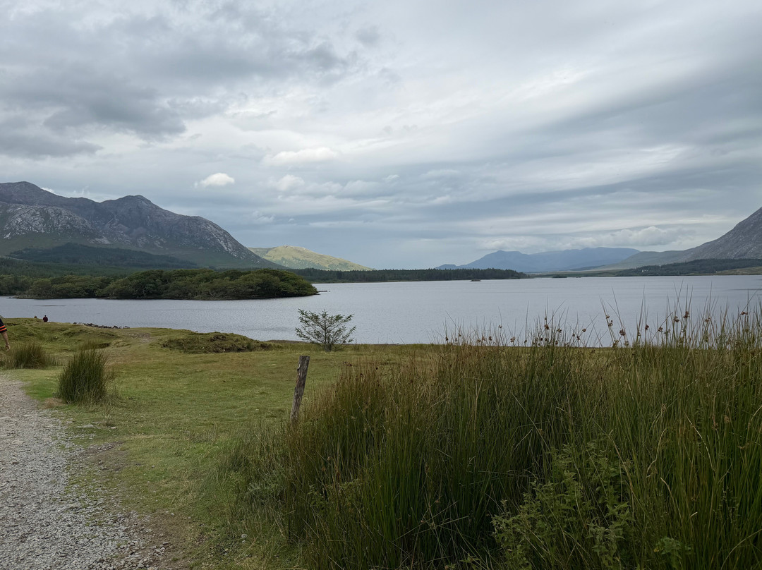 Connemara Equestrian Escapes-Moycullen必去景点