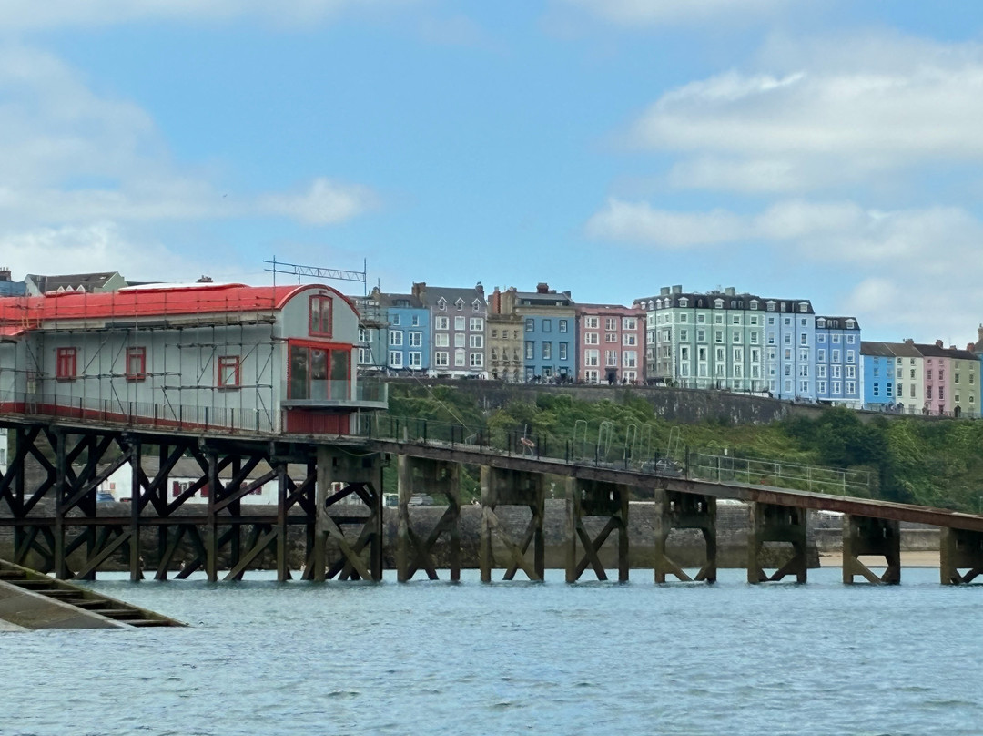 Saundersfoot Sea Safari-桑德斯富特必去景点