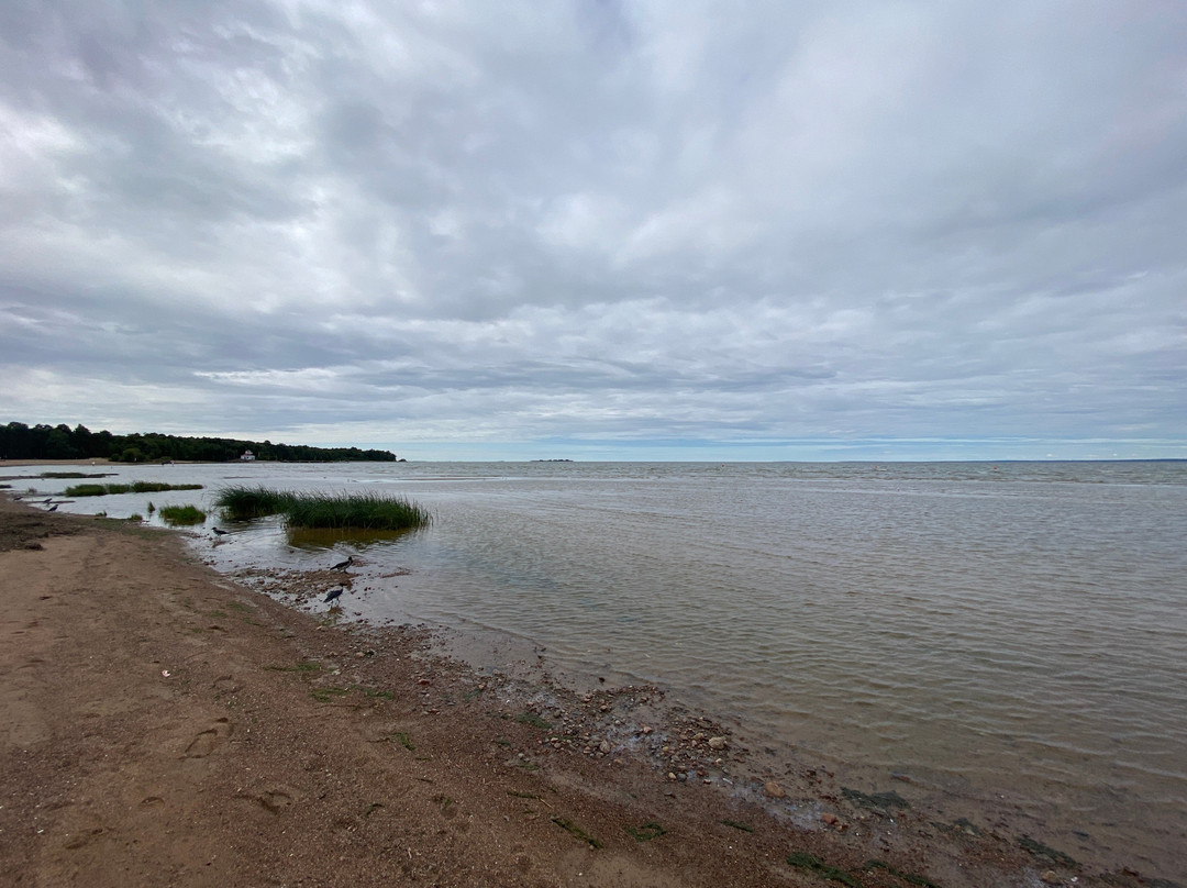 Dubkovskiy Beach-Sestroretsk必去景点