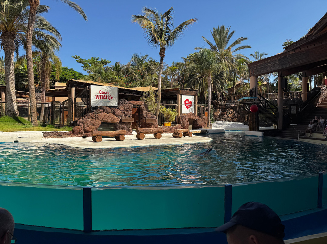 Oasis Park Fuerteventura-La Lajita必去景点