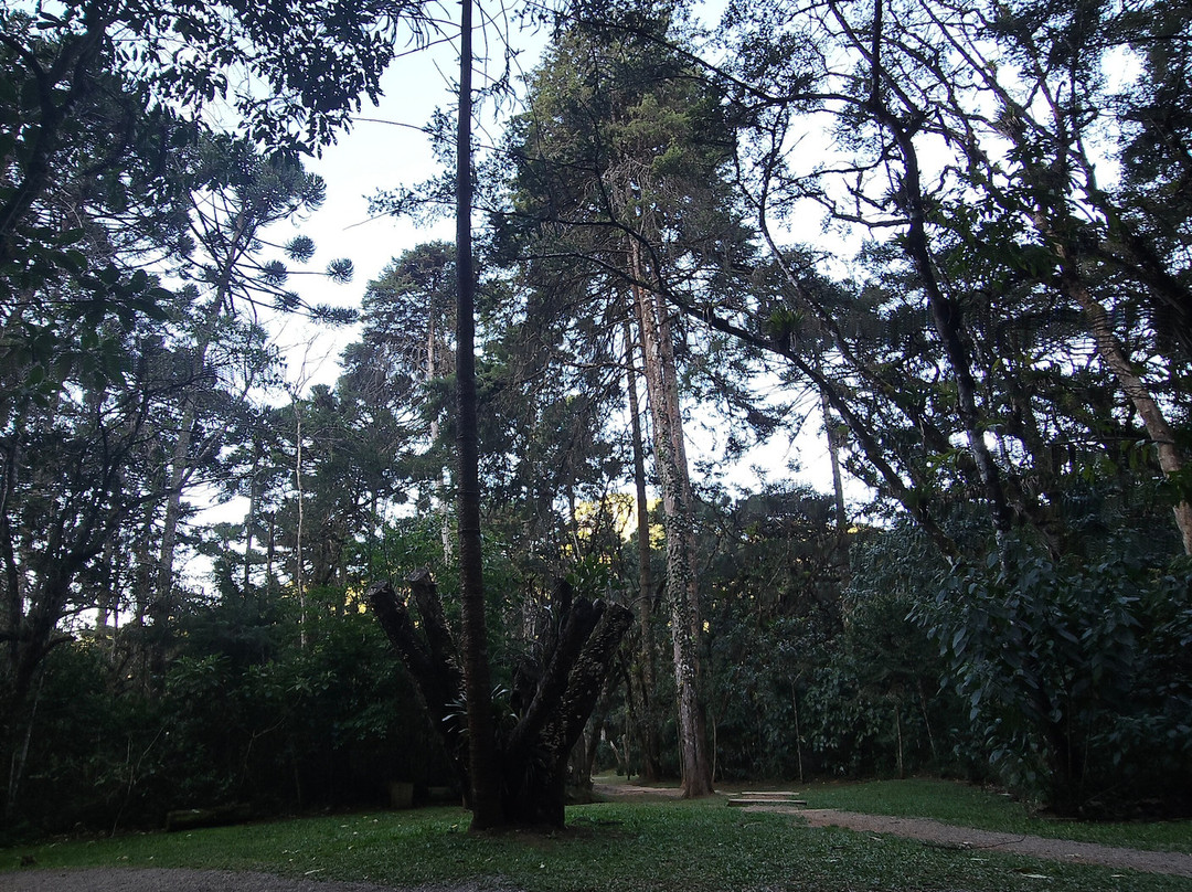 Bosque do Silêncio-坎普斯－杜若尔当必去景点