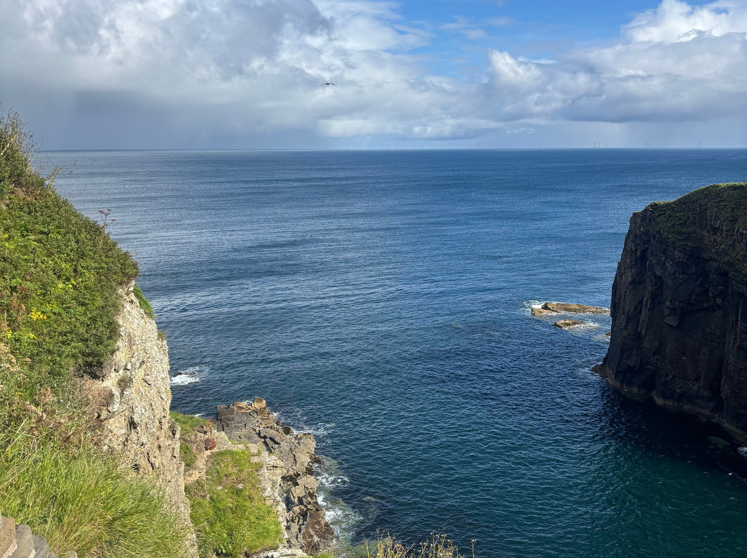Whaligoe Steps-Whaligoe必去景点
