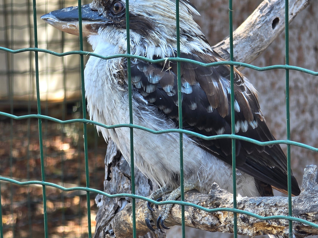 Pafos Zoo-帕福斯必去景点