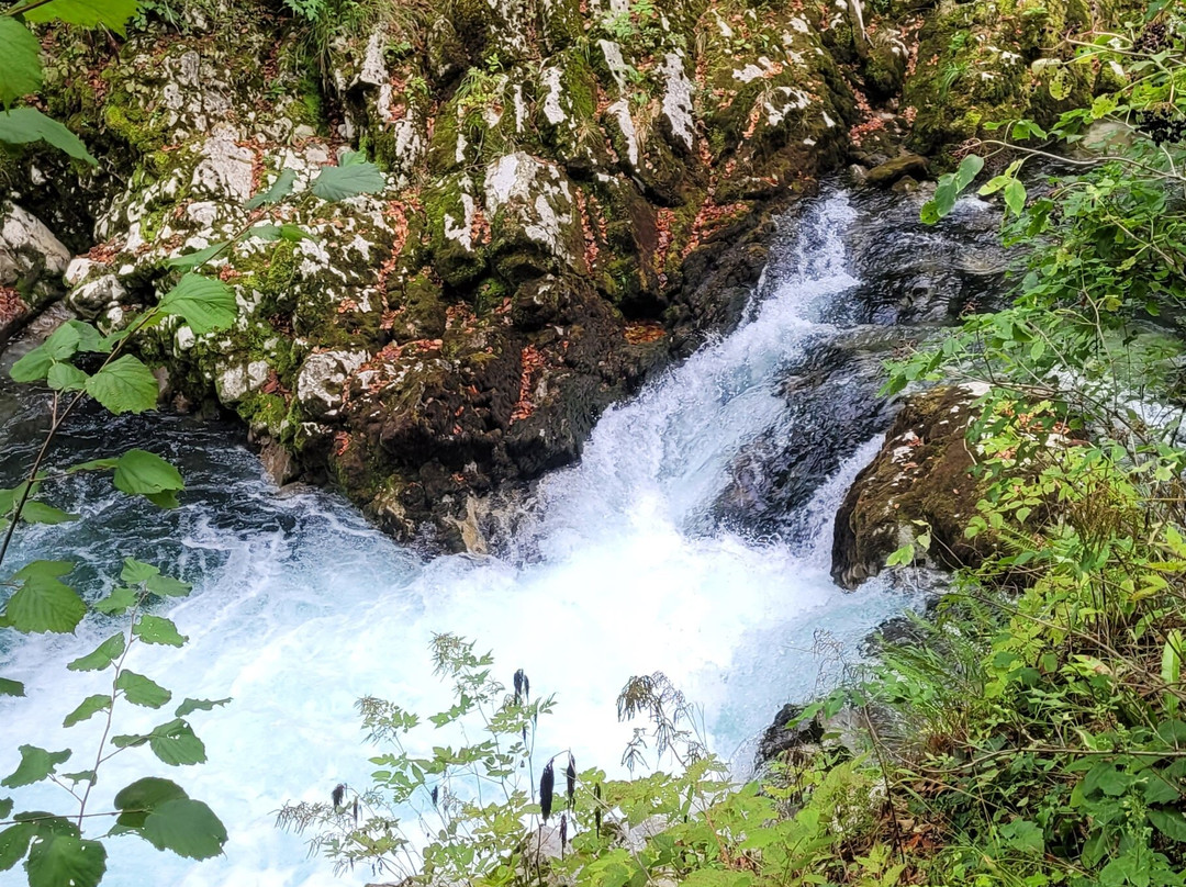 文特加峡谷（Soteska Vintgar）-Zgornje Gorje必去景点