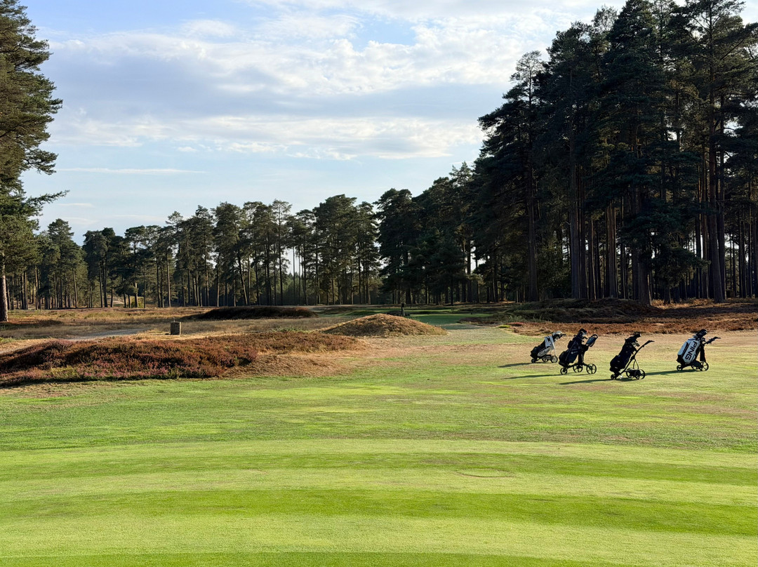 Swinley Forest Golf Club-Ascot必去景点