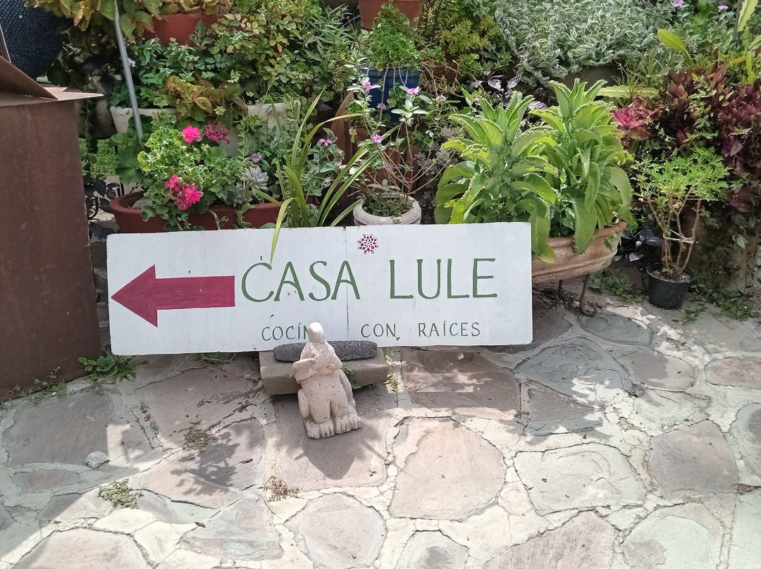 Casa Lule