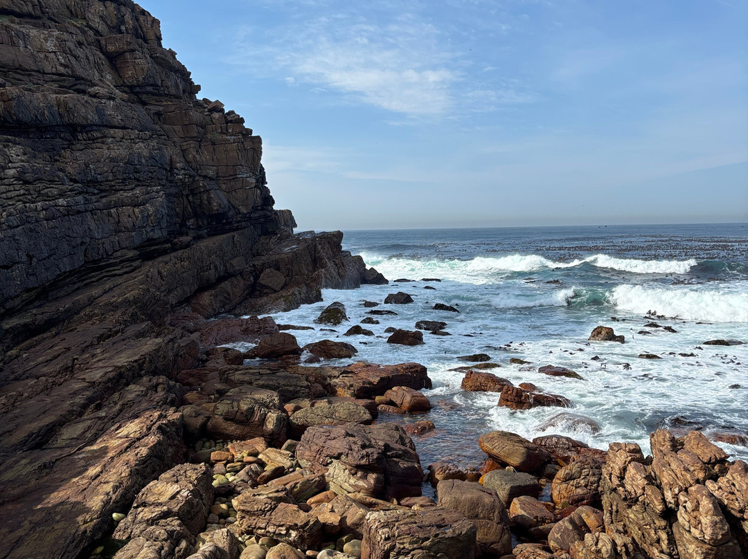Cape of Good Hope-桌山国家公园必去景点