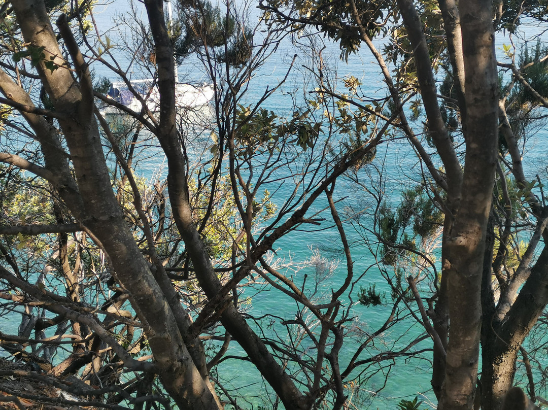 雅娜开放式公寓别墅酒店