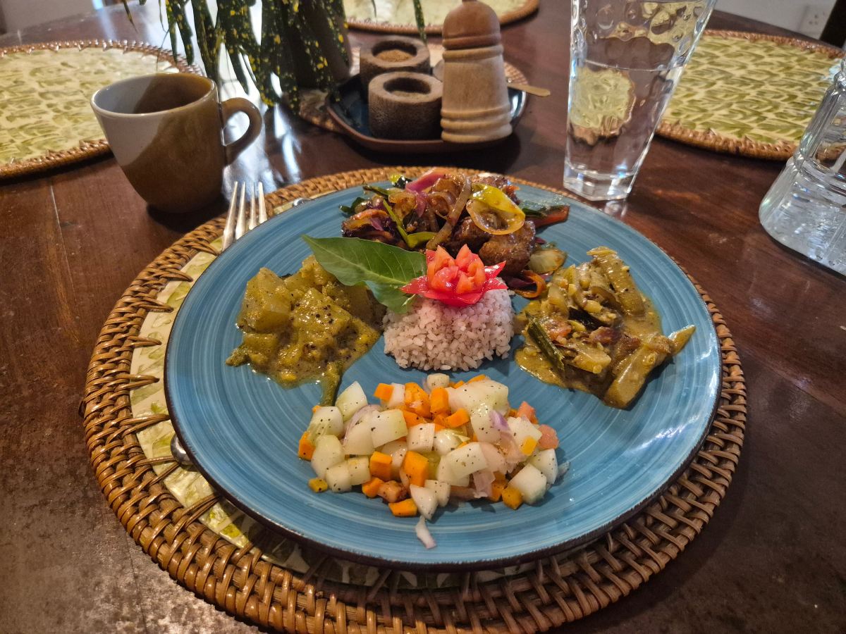 Peacock Ayurveda Garden-旅行者