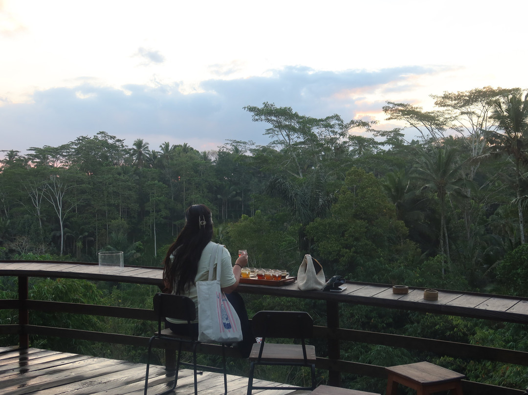 Pemulan Bali Coffee Plantation-Manukaya必去景点