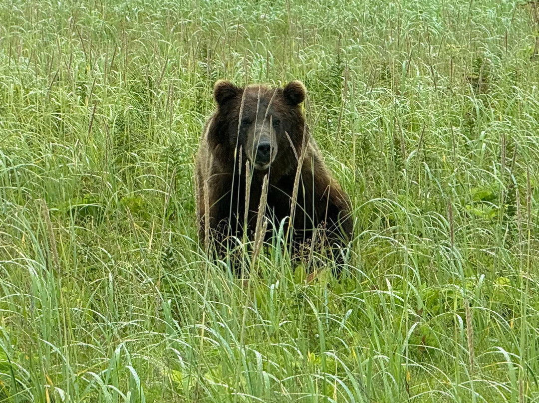 Glacier Bay's Bear Track Inn主图