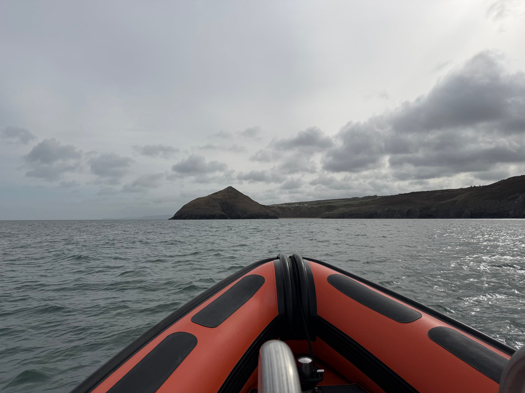 A Bay To Remember Wildlife Boat Trips-St. Dogmaels必去景点
