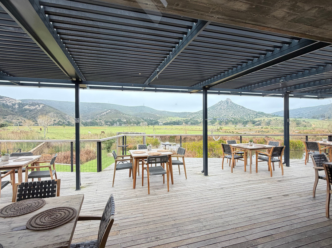 Botlierskop Private Game Reserve-莫塞尔贝必去景点