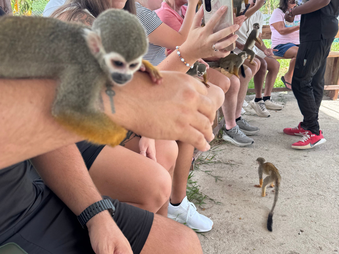 Monkey Home Puerto Plata-普拉塔港必去景点