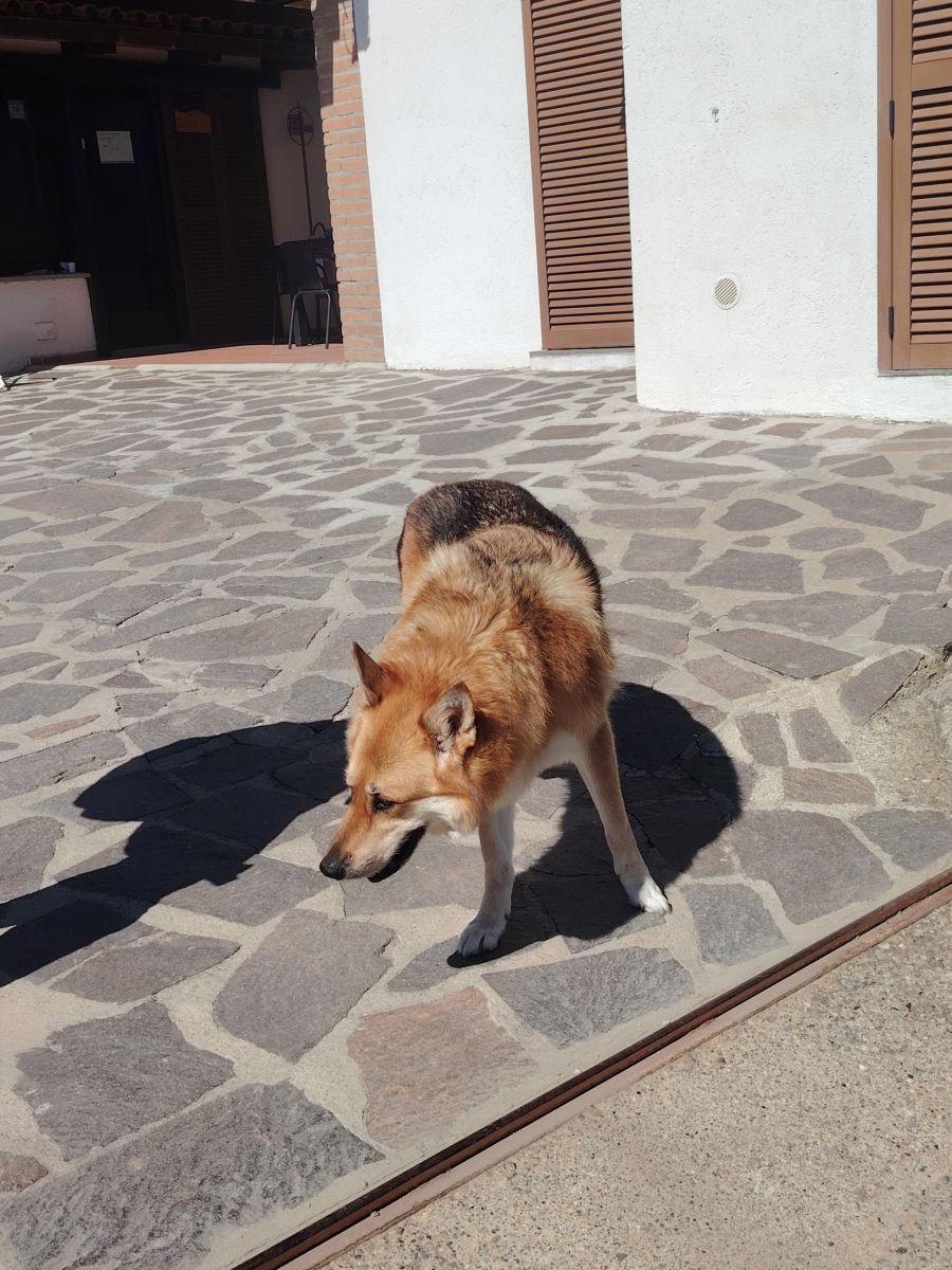 Bed & Breakfast Beba-旅行者