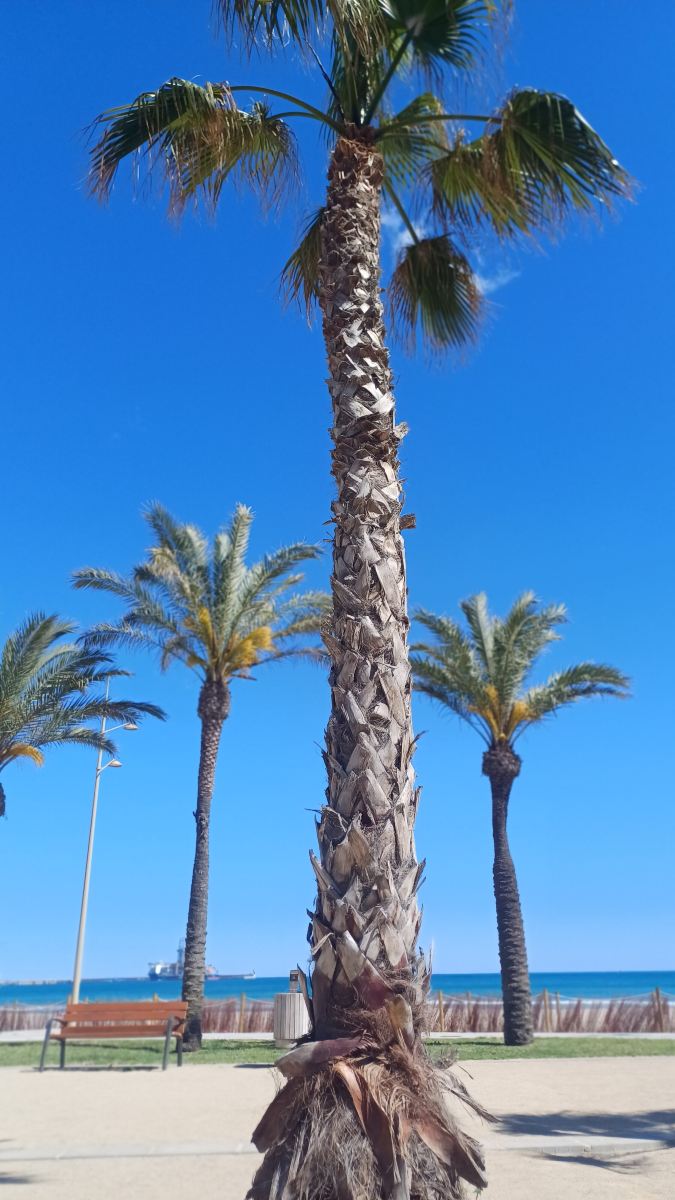 贝斯特拉马里纳酒店-旅行者