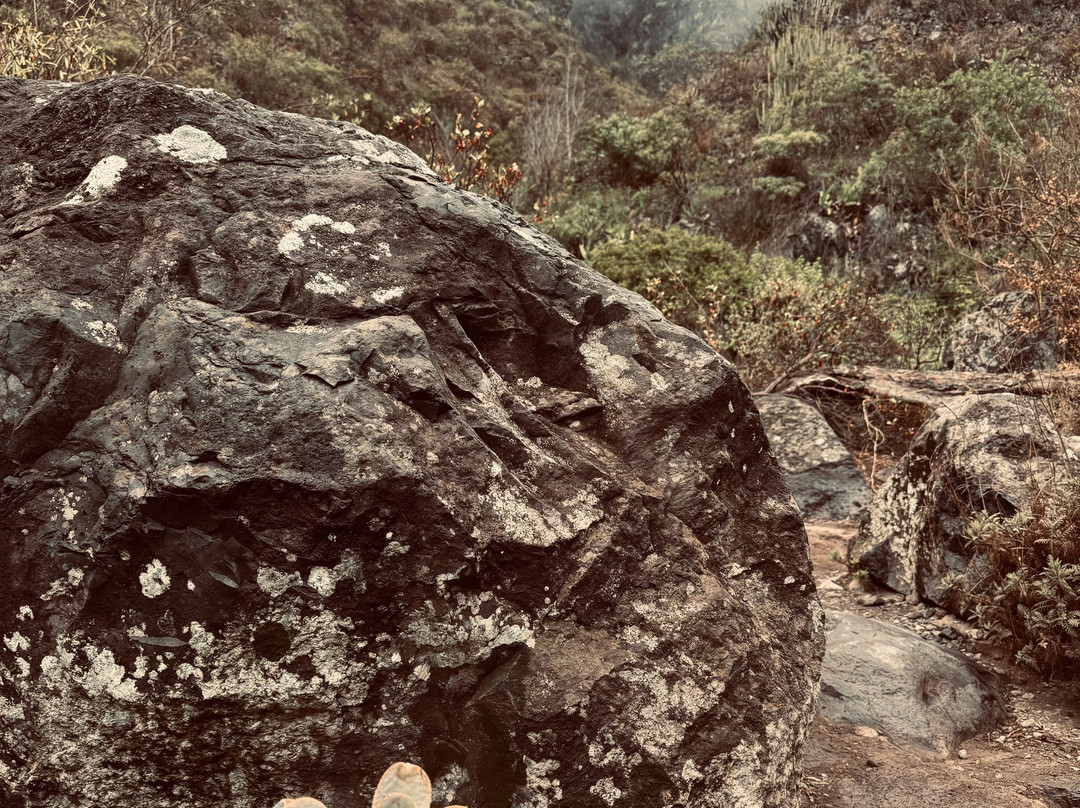 Barranco Del Infierno-奥德杰海岸必去景点