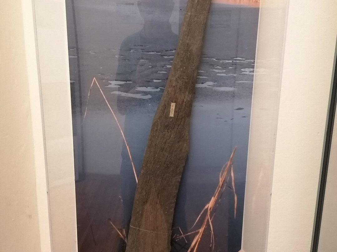 Musei Civici di Villa Mirabello-瓦雷泽必去景点