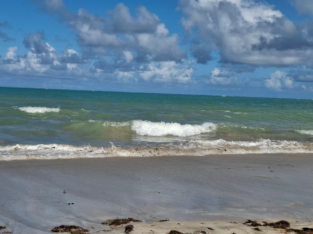 Praia Ponta de Mangue-Maragogi必去景点