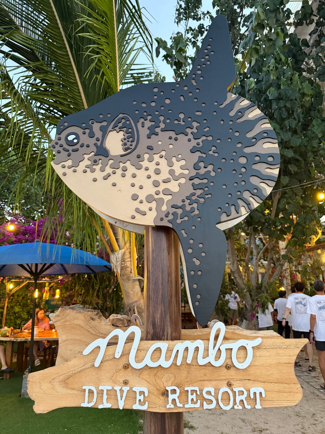 Mambo Hill度假村-旅行者