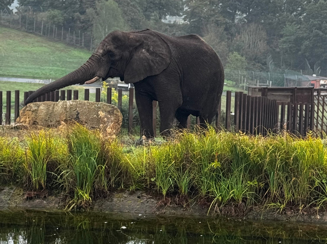 Safari Lodges At West Midlands Safari Park主图