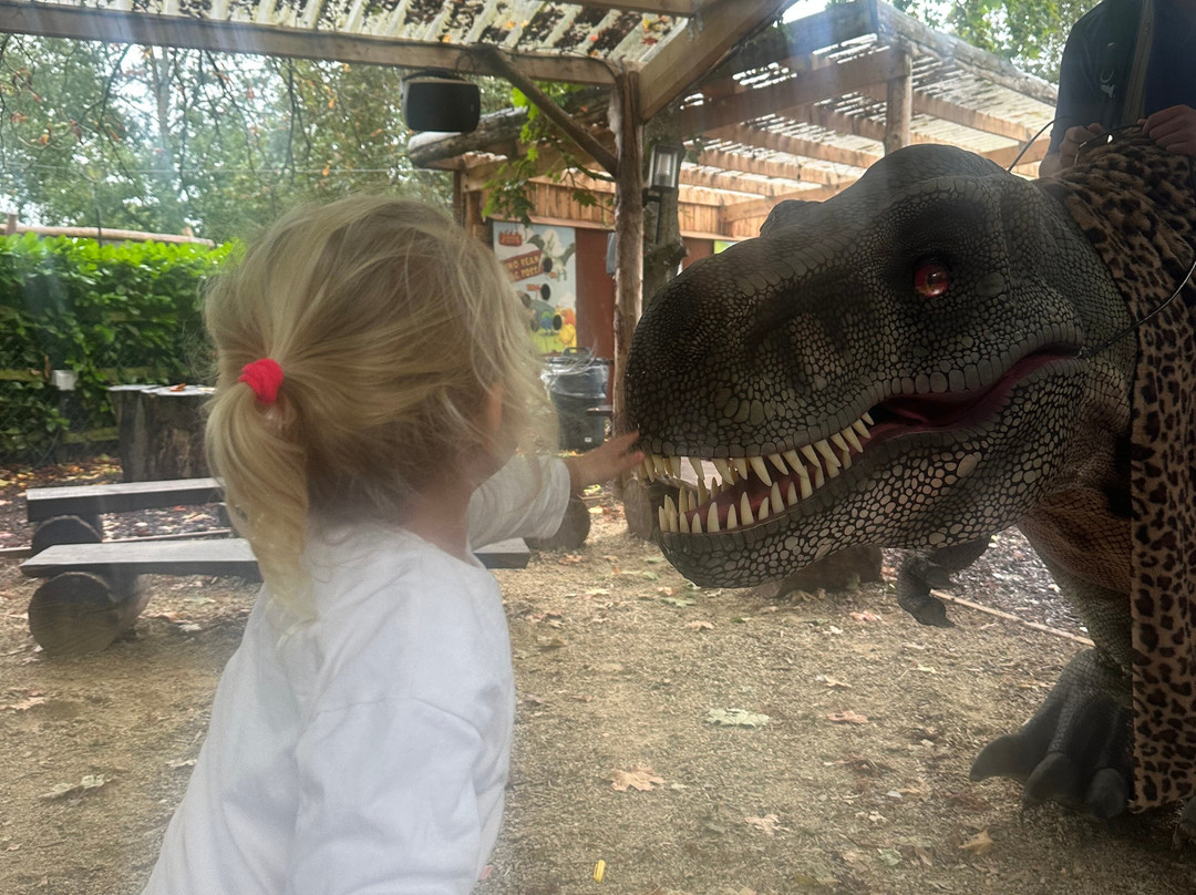 Jurassic Newpark-基尔肯尼必去景点