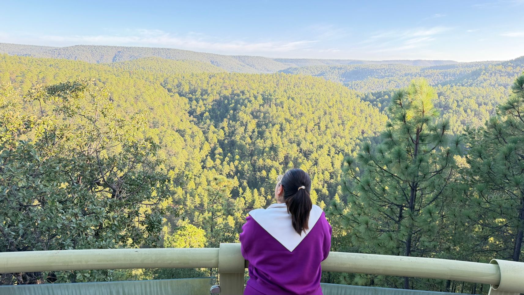 莫利尼洛斯山度假村-旅行者