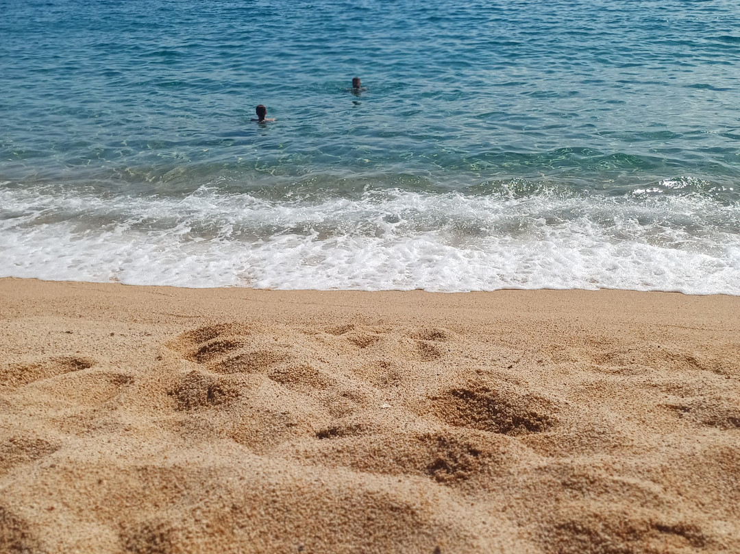 Playa de Fenals-犹兰特德玛必去景点