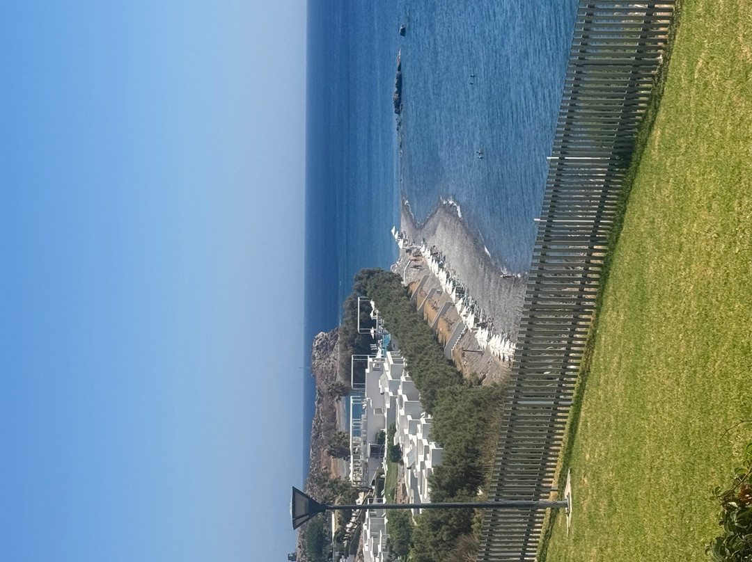 米开朗基罗度假村主图