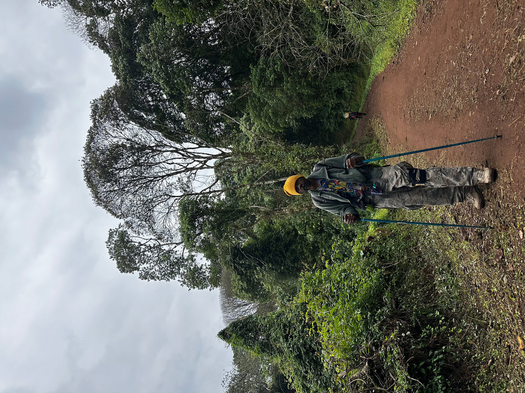 Climbing Kilimanjaro-Machame必去景点
