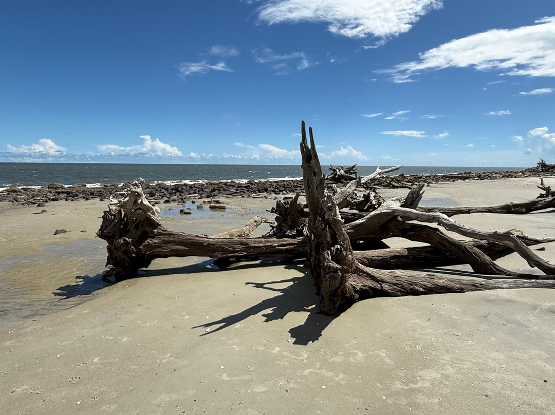 Jekyll Island-吉柯岛必去景点