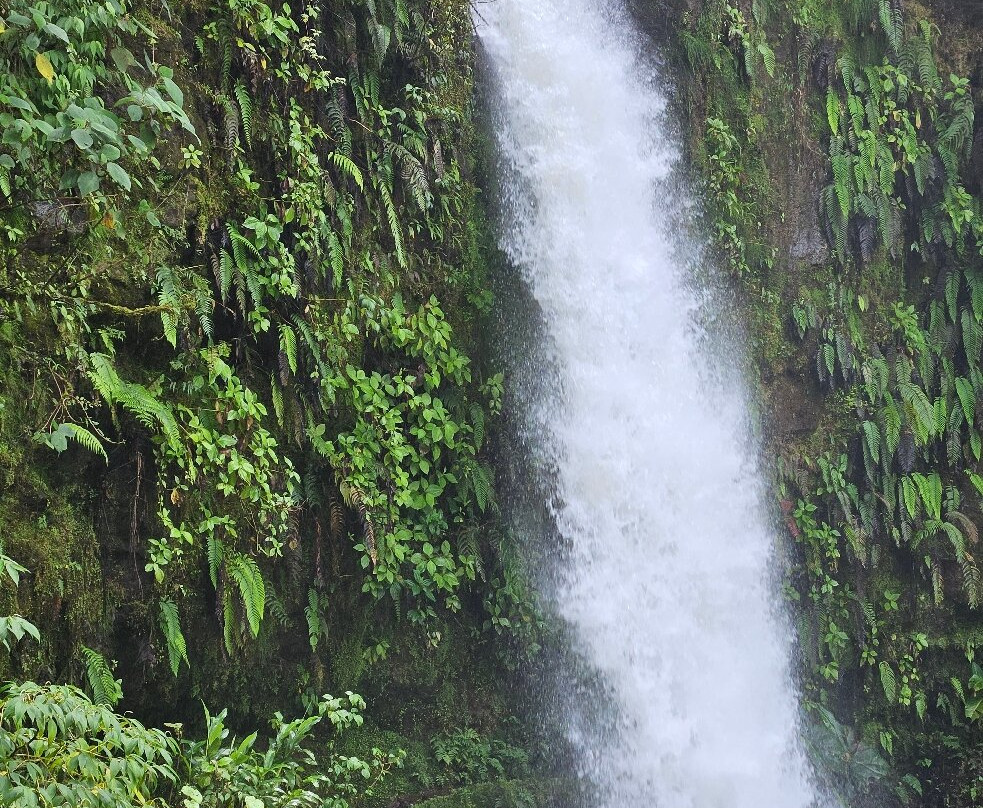 Costa Rica Itinerary-爱雷迪雅必去景点