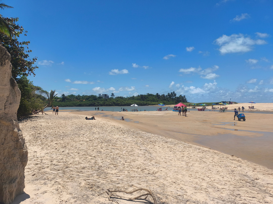 Tabatinga Beach-Conde必去景点