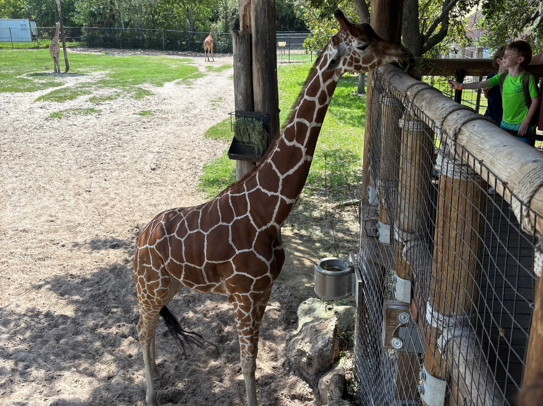 Jacksonville Zoo & Gardens-杰克逊维尔必去景点