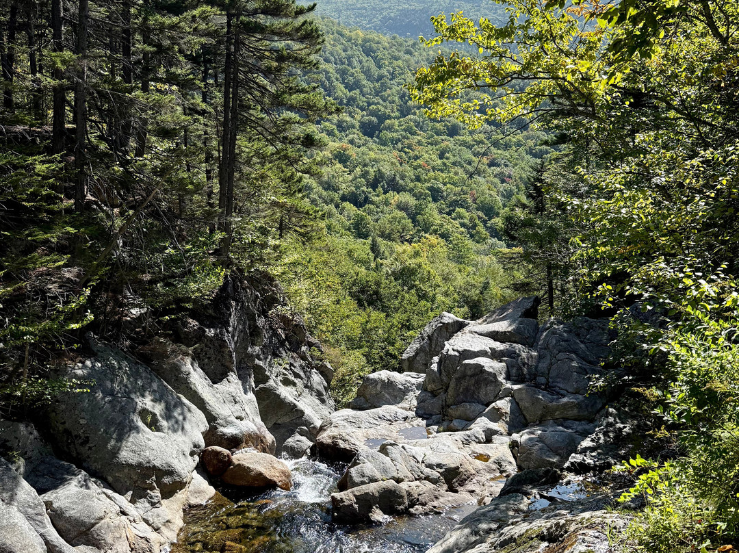 Glen Ellis Falls-杰克逊必去景点