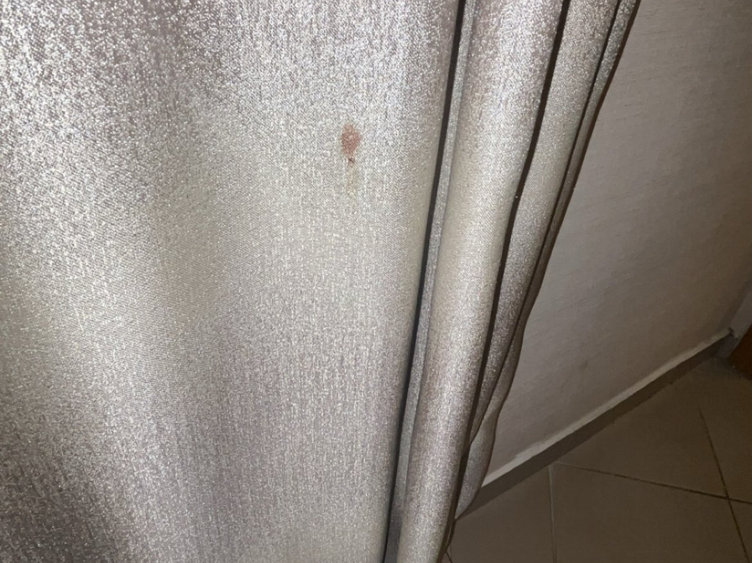 皇家阿萨里克 Spa 海滩酒店 - 全包式主图